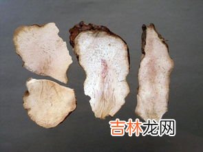 猪膀胱的功效与作用,猪膀胱的功效与作用 猪膀胱的食用方式和注意事项