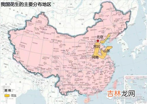 黄色人种主要分布在,除了东亚之外还有主要黄种人分布哪个州?