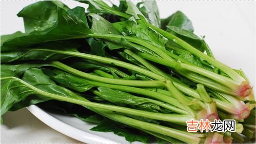 菠菜怎么做可口,怎样做菠菜好吃