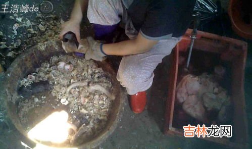 松香有毒吗,松香有毒吗