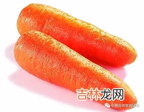 胡萝卜是萝卜类的吗,胡萝卜是萝卜的一种吗？