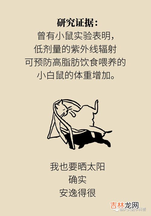 那种办法可以快速减肥,有哪些快速减肥的有效方法?