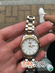 女款手表什么品牌性价比高,小众不贵的手表品牌女款