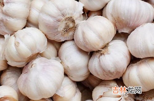 交通部回复(大蒜头是绿通吗免高速费吗 干大蒜几个省是绿通,干大蒜是绿通吗免高速费吗