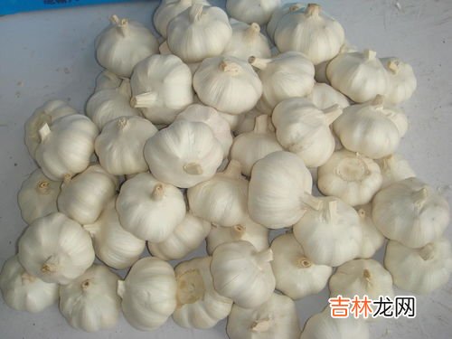 交通部回复(大蒜头是绿通吗免高速费吗 干大蒜几个省是绿通,干大蒜是绿通吗免高速费吗