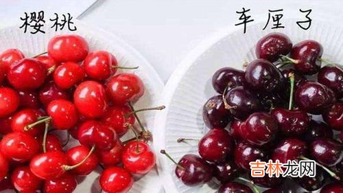 车厘子怎么挑,车厘子如何挑选