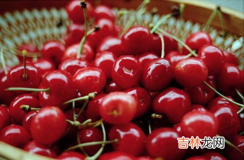 车厘子怎么挑,车厘子如何挑选