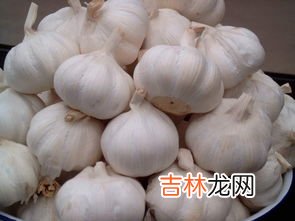 蒜怕冻嘛,大蒜怕冻吗？