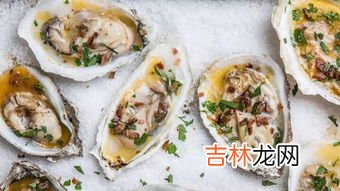 活生蚝买回来怎么过夜,生蚝怎么保存过夜