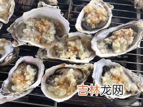 活生蚝买回来怎么过夜,生蚝怎么保存过夜