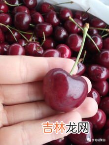 买一箱车厘子能放多久,车厘子买回来可以保存几天 车厘子怎么保存放的时间长