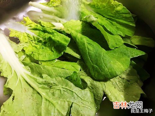 一月份吃什么蔬菜,1月份吃什么蔬菜