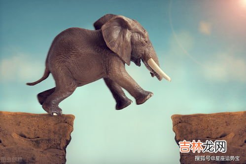 黑色代表什么意义和象征,黑色代表什么？