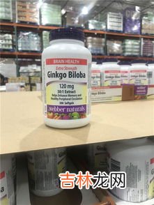 美国银杏精华胶囊哪个牌子好,银杏精华胶囊哪个品牌好