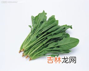 菠菜图片,菠菜怎样拌好吃