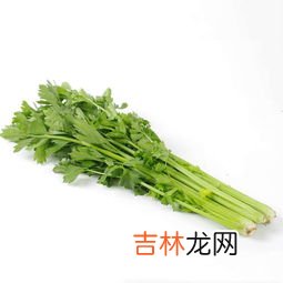 芹菜叶子能吃吗为什么都丢掉,芹菜叶子到底能不能吃?