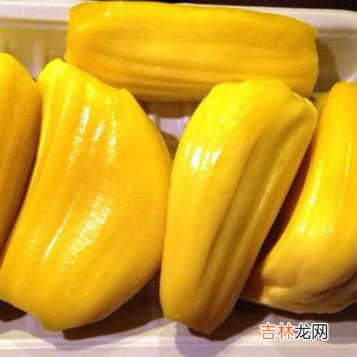 菠萝蜜有哪些营养价值,波萝蜜的营养价值