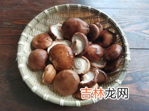 香菇根部长白毛了上面还可以吃吗,香菇长白毛了可以吃吗