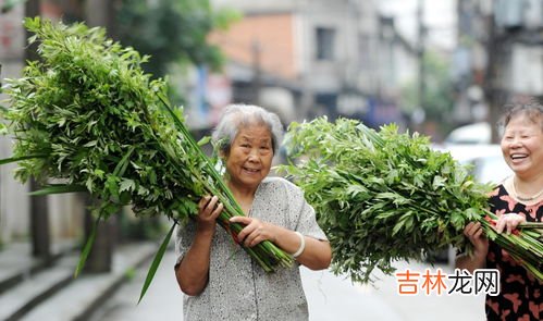 艾草收割后怎样处理,艾草什么时候收割最好?收割完之后怎样存储?