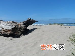做梦梦到黄鼠狼是什么意思,做梦梦见黄鼠狼的象征寓意梦里梦见黄鼠狼什么意思