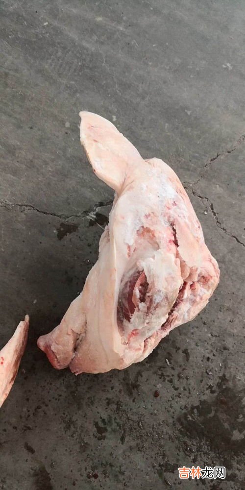 猪小肠为什么有苦味,东北的苦肠是什么？