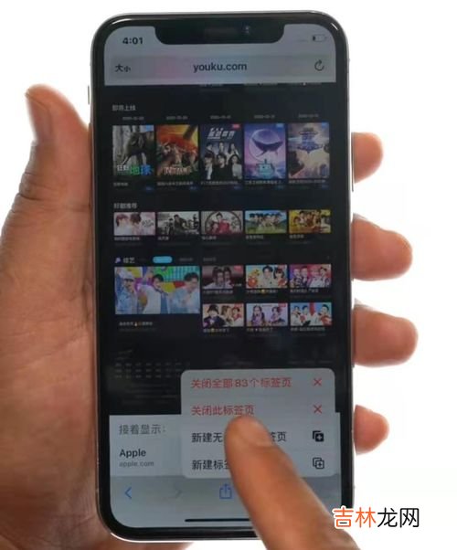 苹果手机可以看网站吗,苹果手机可以上外网吗?
