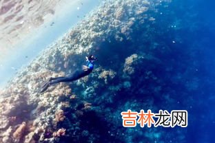 潜水潜需要做什么准备,要去浮潜，需要准备什么装备和物品