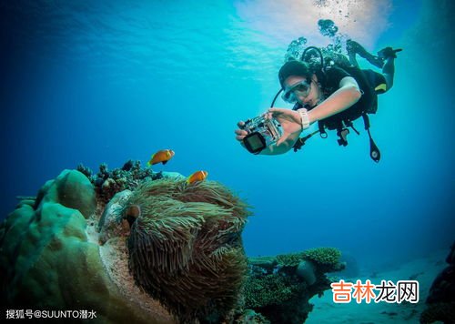 潜水潜需要做什么准备,要去浮潜，需要准备什么装备和物品