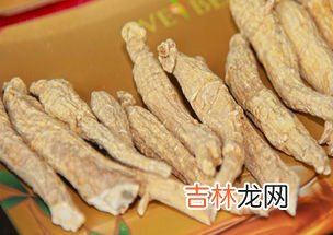 西洋参和什么搭配泡水,西洋参要怎么吃，适合与什么茶一起冲泡？