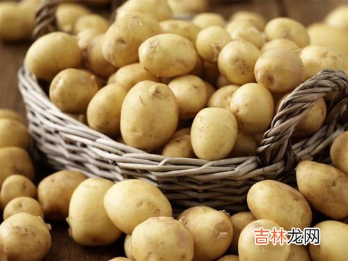 土豆可以长期当主食吗,土豆可以代替米饭作为主食吗？
