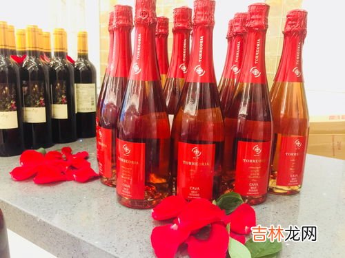 怎样酿制葡萄酒,怎样自酿葡萄酒？