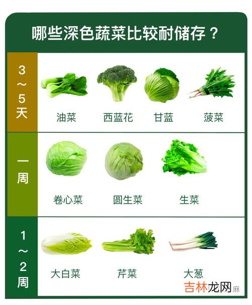 三种办法让你保存蔬菜更长久,新鲜蔬菜怎么保存时间长一点