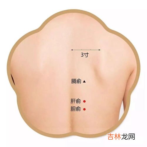 扶阳透灸气管炎能治吗,支气管炎怎么治疗?如何治疗支气管炎?