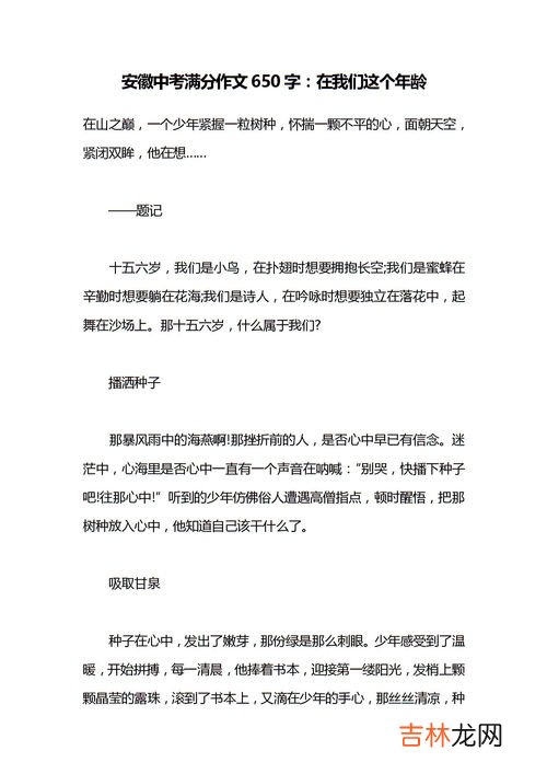在我们这个年龄作文,在我们这个年龄 作文600字