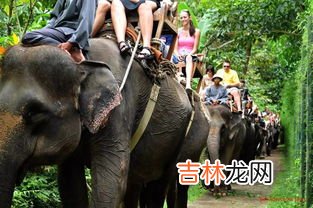 虐待动物会收到什么惩罚,虐待、伤害动物违法吗?