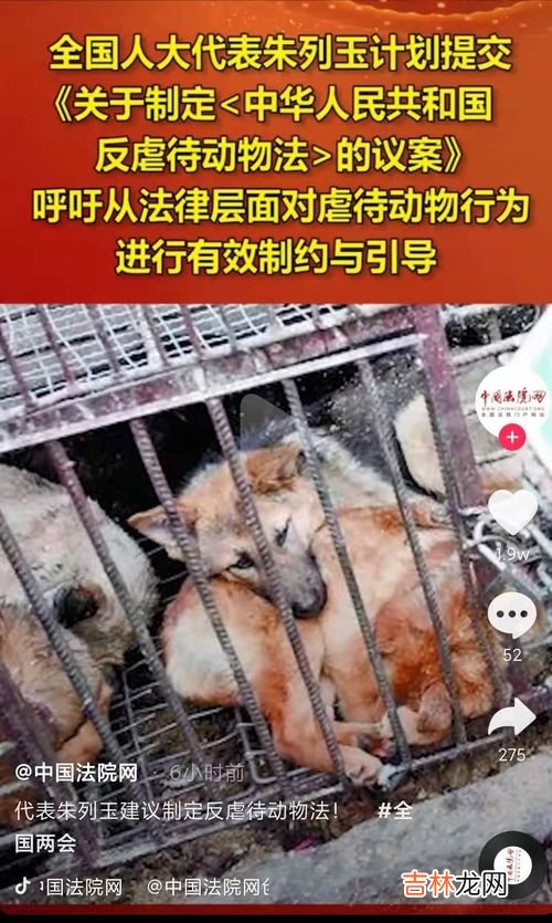 虐待动物会收到什么惩罚,虐待、伤害动物违法吗？
