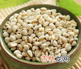 养胃的都有什么食物,养胃的食物