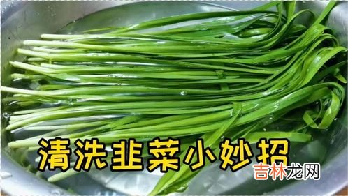 隔夜韭菜能吃吗,生韭菜隔夜可以吃吗