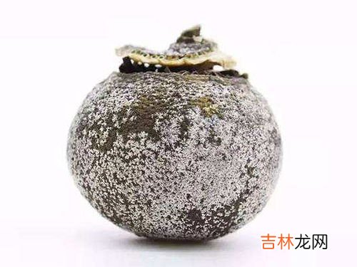 香肠上的白霜是发霉吗,香肠上面为什么有白霜一样的东西