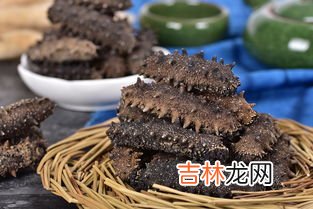 干海参的存放方法和注意事项,海参干怎么保存 干海参怎么保存