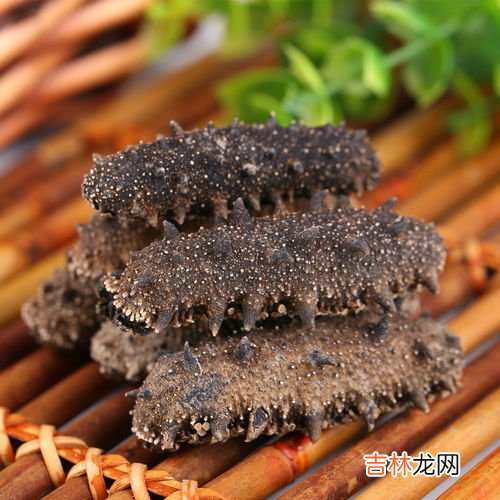 干海参的存放方法和注意事项,海参干怎么保存 干海参怎么保存