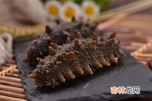 干海参的存放方法和注意事项,海参干怎么保存 干海参怎么保存