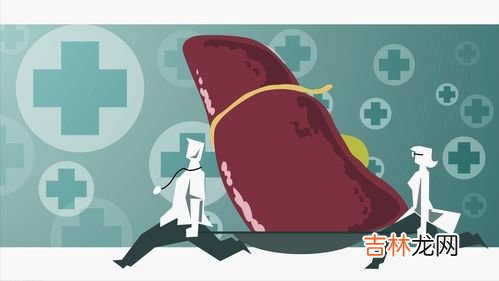如何把肝脏养好,怎样养肝脏护肝