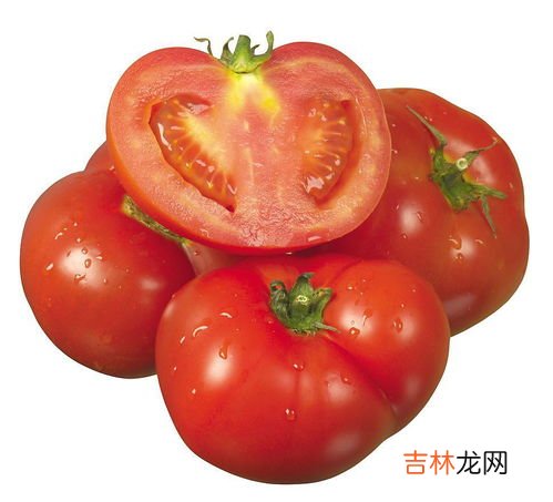 怎样种西红柿,西红柿怎么种植