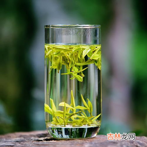 金牡丹茶属于什么茶,金牡丹和金骏眉哪个好喝