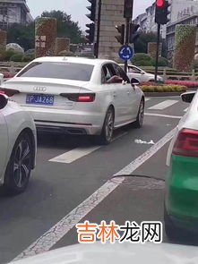 辽p是哪的车,辽p是哪的车牌