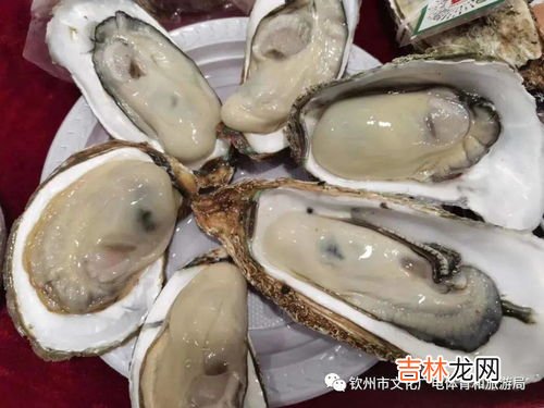 生蚝壳属于什么垃圾,大块的骨头牡蛎壳属于什么垃圾求?