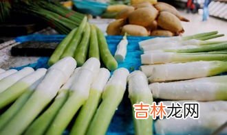 茭白在农村叫什么,茭白是什么菜?