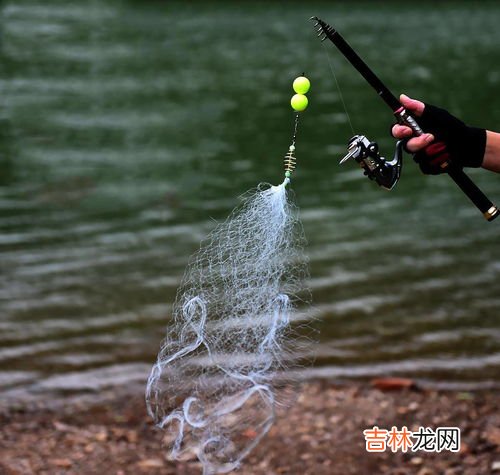 被称之为歌唱家和捕鱼能手的分别是什么鸟,云雀为什么是草原歌手