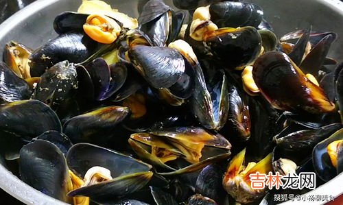 海虹是什么东西,海虹是什么东西